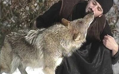 Sur les chemins de la vie spirituelle… avec les loups !