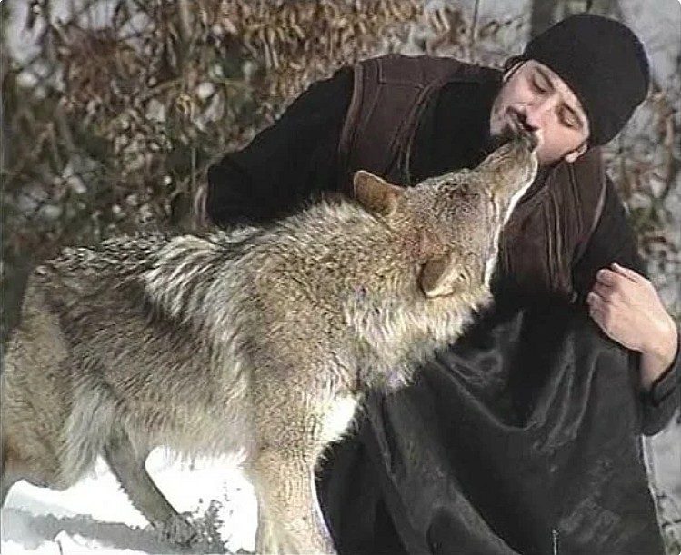 Sur les chemins de la vie spirituelle… avec les loups !