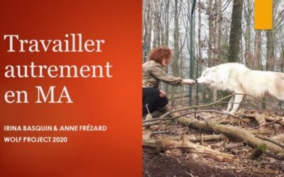 Apprendre à travailler autrement en médiation animale (zoothérapie)