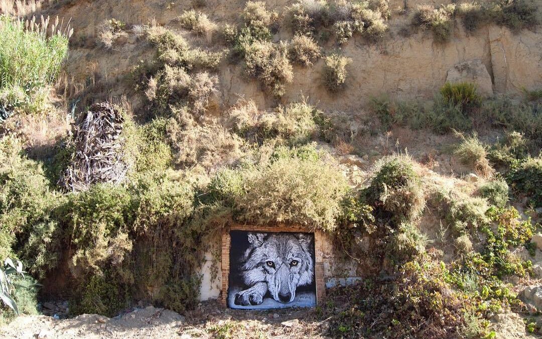 Street Art & Wolves