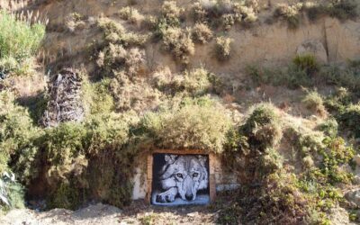 Street Art & Wolves