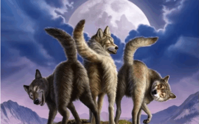 Mieux vivre avec sa meute : sentiment de contrôle (3)