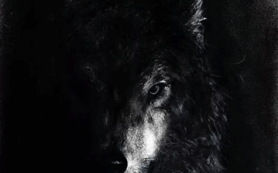 Mieux vivre avec sa meute : partir ou rester (10)