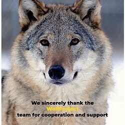 In Pack We Trust !