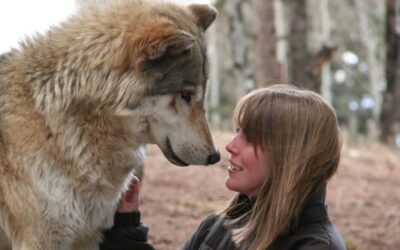 Partager un monde avec les loups : à lire absolument
