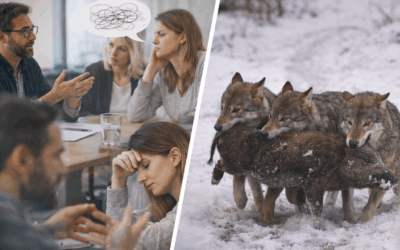 Quelques signaux à repérer…