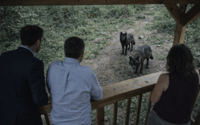 Apprendre à coopérer