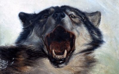 5. Lobo