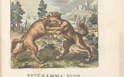4. Le Loup Alchimique